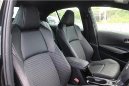 Toyota (RHD) Corolla Hybrid WxB 2019