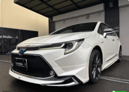 Toyota (RHD) Corolla Hybrid WxB 2020