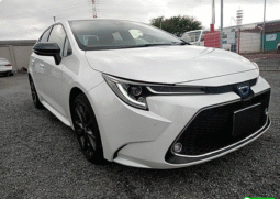 Toyota (RHD) Corolla Hybrid WxB 2021