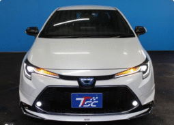 Toyota (RHD) Corolla Hybrid WxB 2022