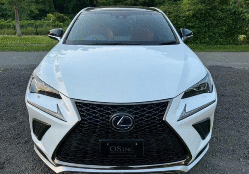 Lexus (RHD) NX 300H F-sport 2019
