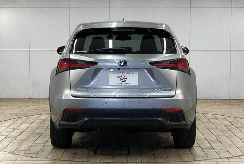 Lexus (RHD) NX 300H F-sport 2019