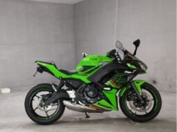 Kawasaki Ninja 650 2025