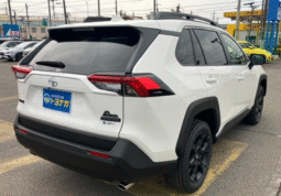 Toyota RAV 4 Hybrid Adventure Off roading 2025