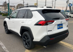 Toyota RAV 4 Hybrid Adventure Off roading 2025